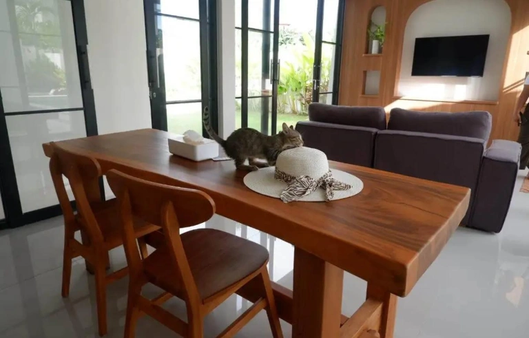 3BR VILLA WITH BIG GARDEN PADONAN, CANGGU, QUITE AREA in Canggu - Image 3