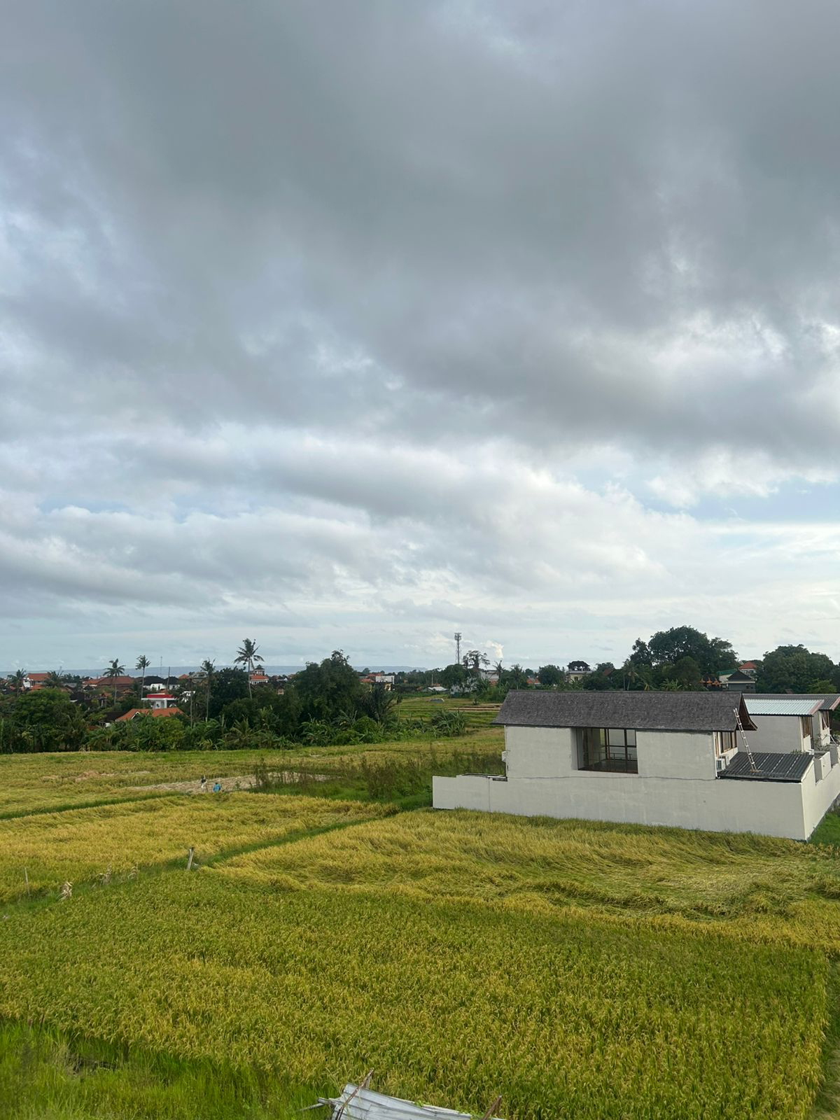 Brand New 2-Bedroom Villas for Rent – Cemagi, Mengwi in Seseh - Image 2