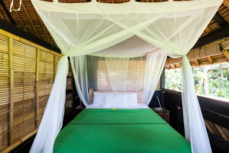 Damai Eco in Ubud - Image 5