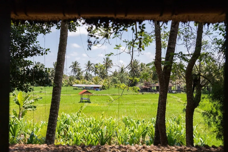 Damai Eco in Ubud - Image 3
