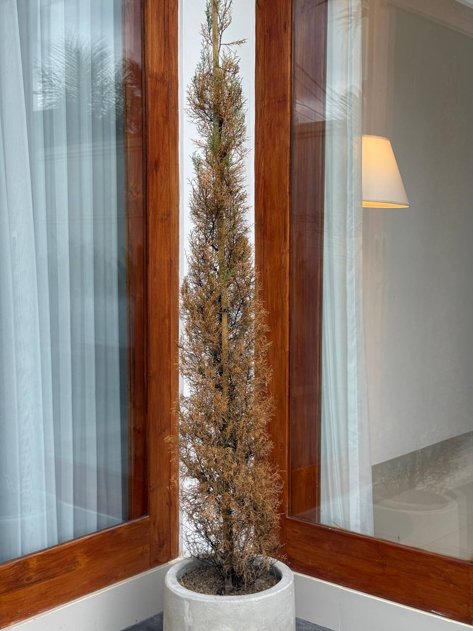 Brand New Spacious Villa in Sayan with Closed Living Room, Large Pool & Full Pri in Ubud - Image 5