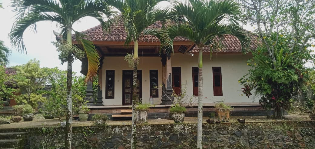 NEGARA HOUSE in Tabanan - Image 4